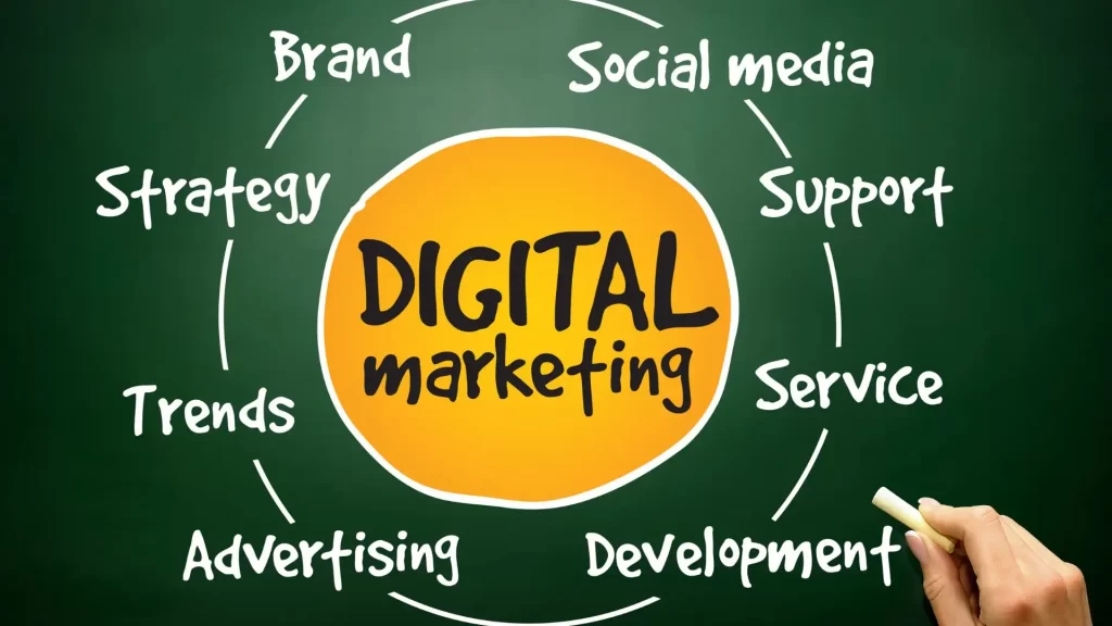 Digital marketing for Tauranga business